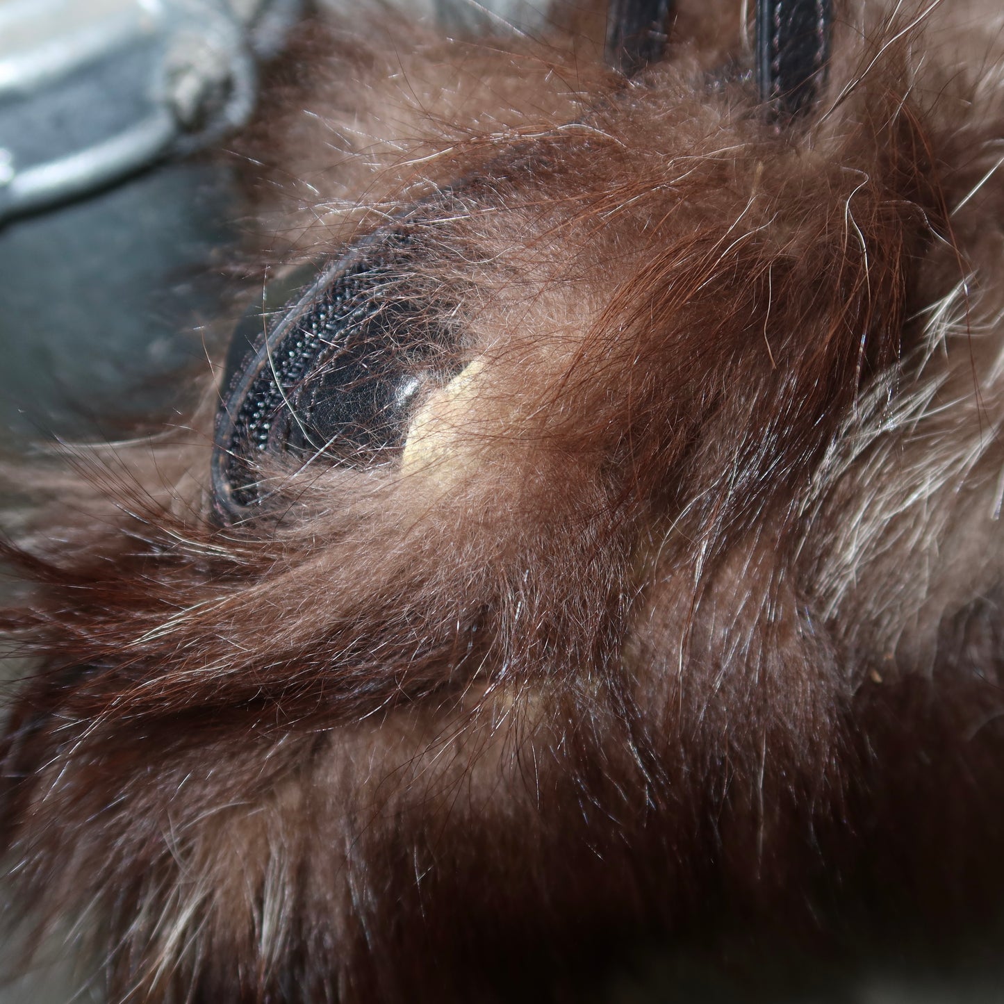 Vintage Italian Made Real Fur Bag