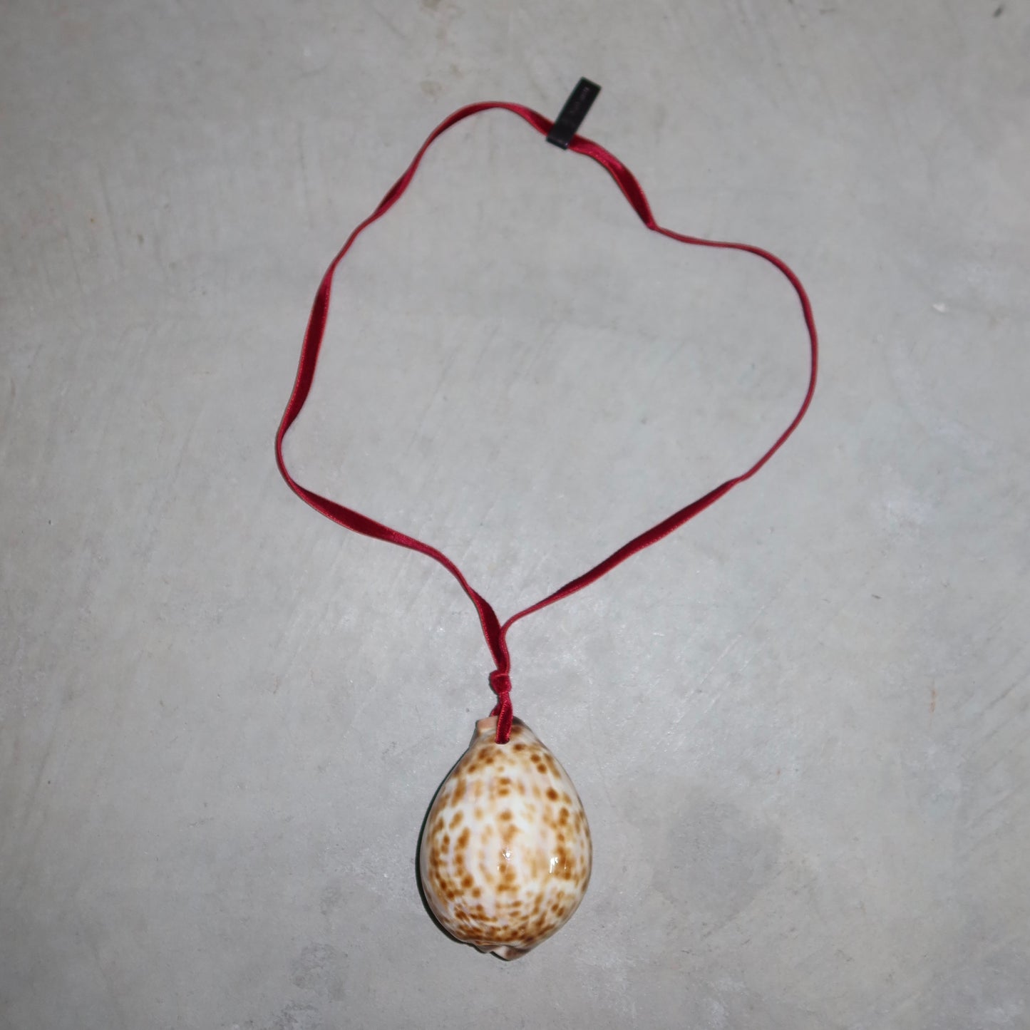 Miu Miu Cowrie Shell Necklace