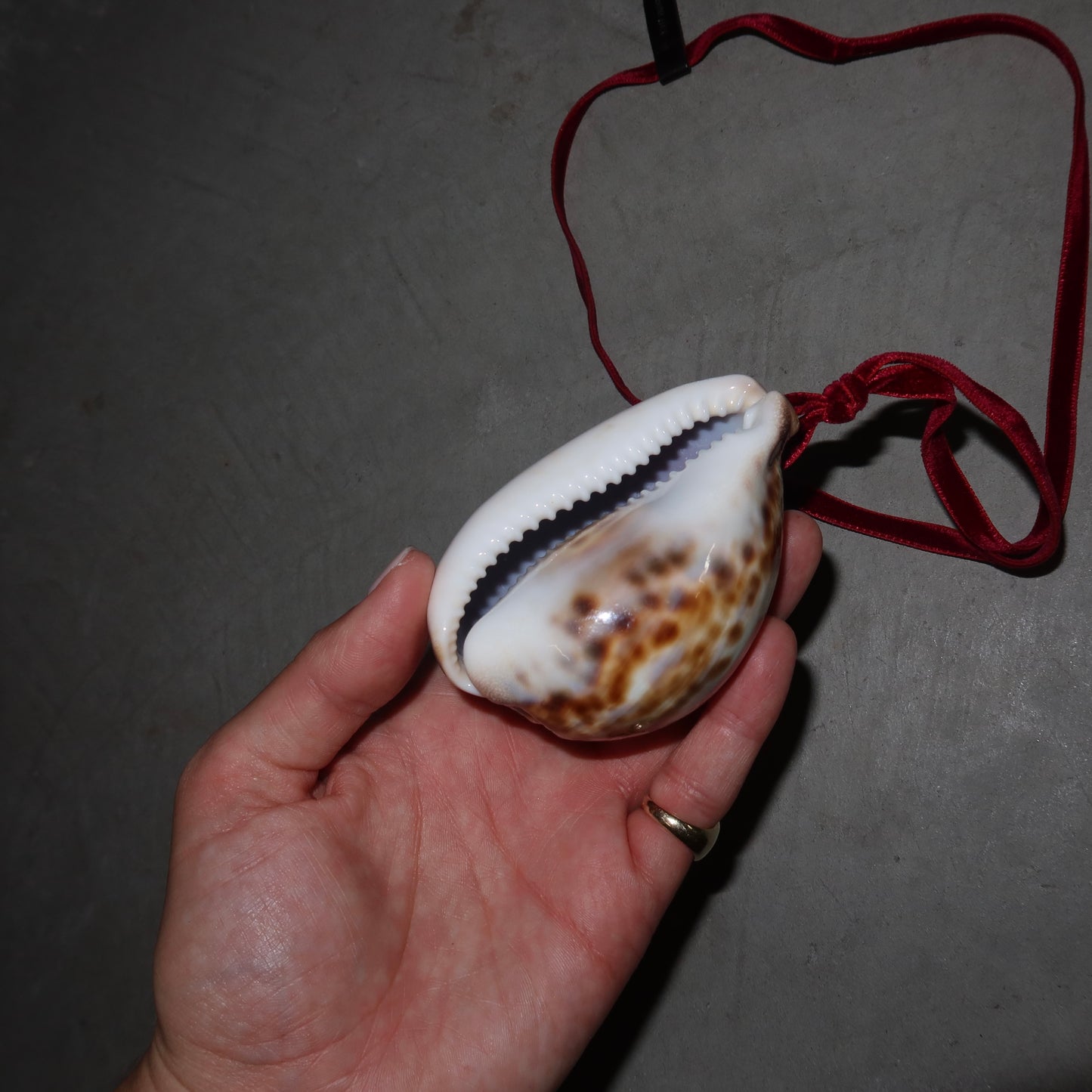 Miu Miu AW2004 Shell Necklace