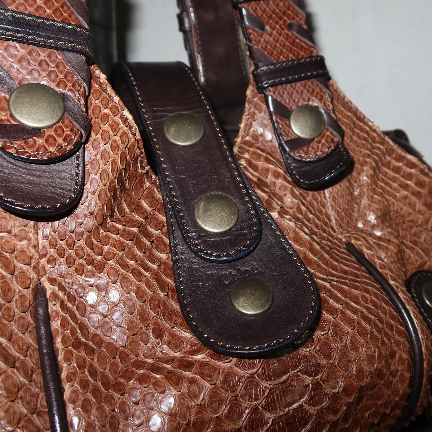 Chloé AW2005 Python Silverado