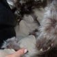 Bruno Magli Shearing Tote