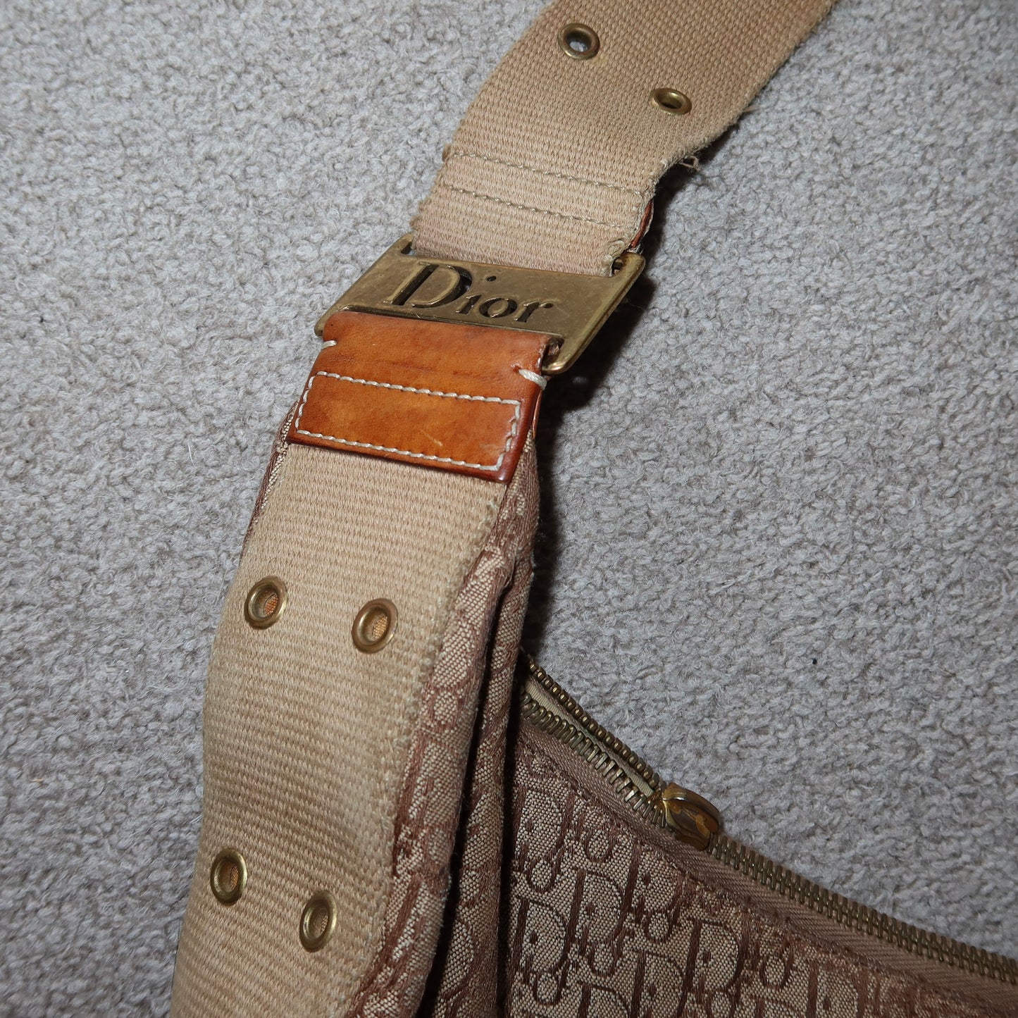 Dior Street Chic Trotter Crossbody