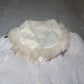 Vintage Gold Leather and Real Fur Reversible Jacket