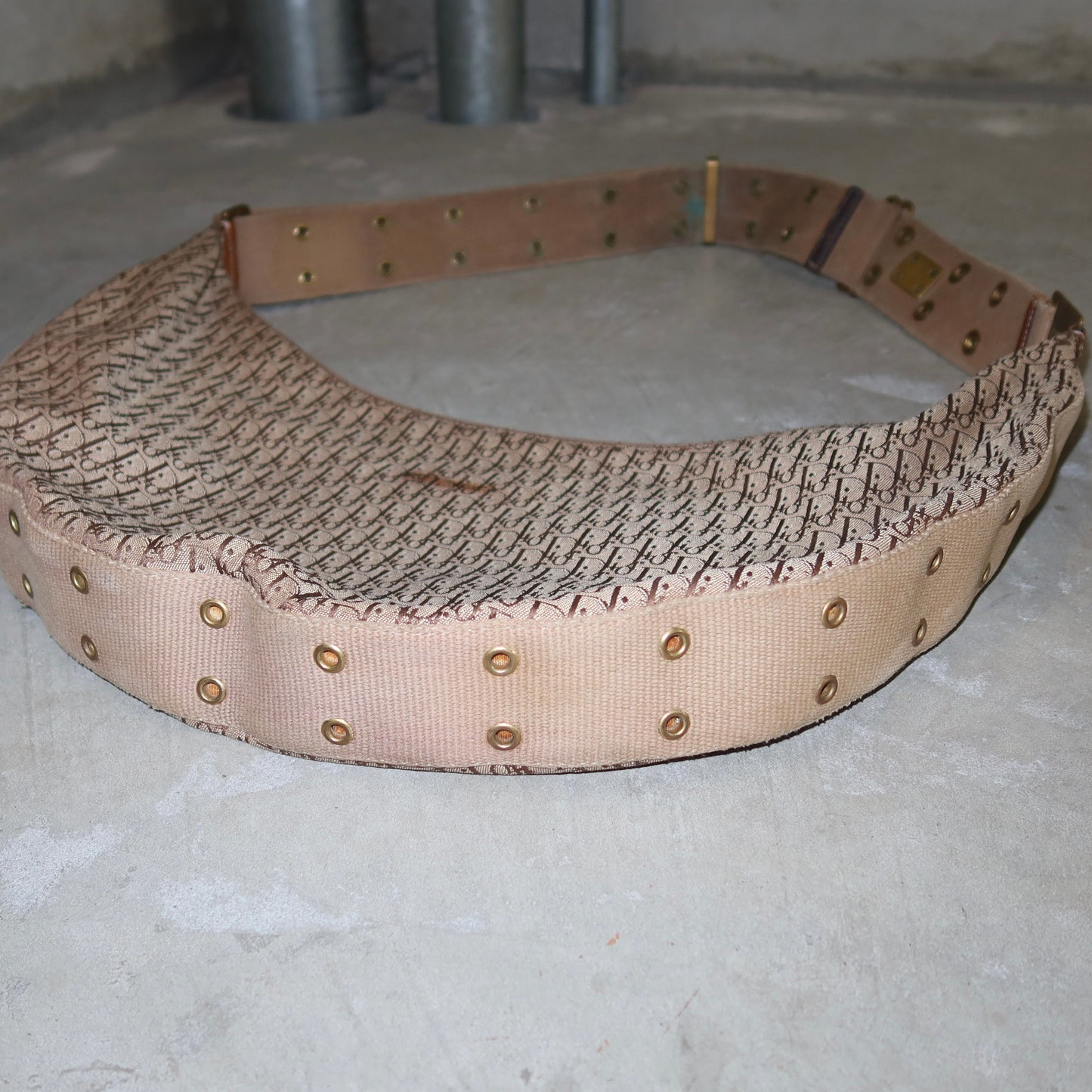 Dior Street Chic Trotter Crossbody