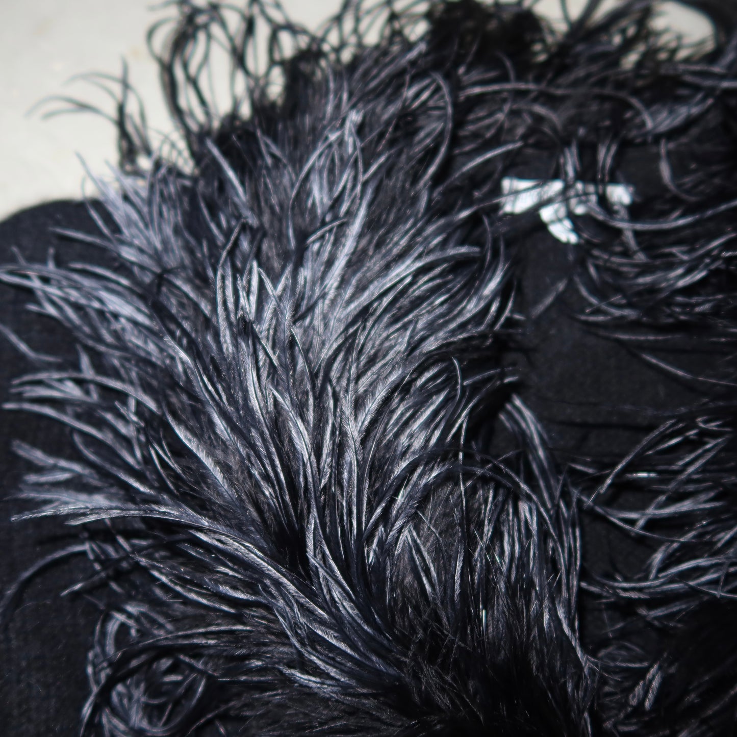 Emporio Armani Ostrich Feather Trim Cardigan