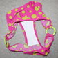 D&G Three Piece Polka Dot Swim Set