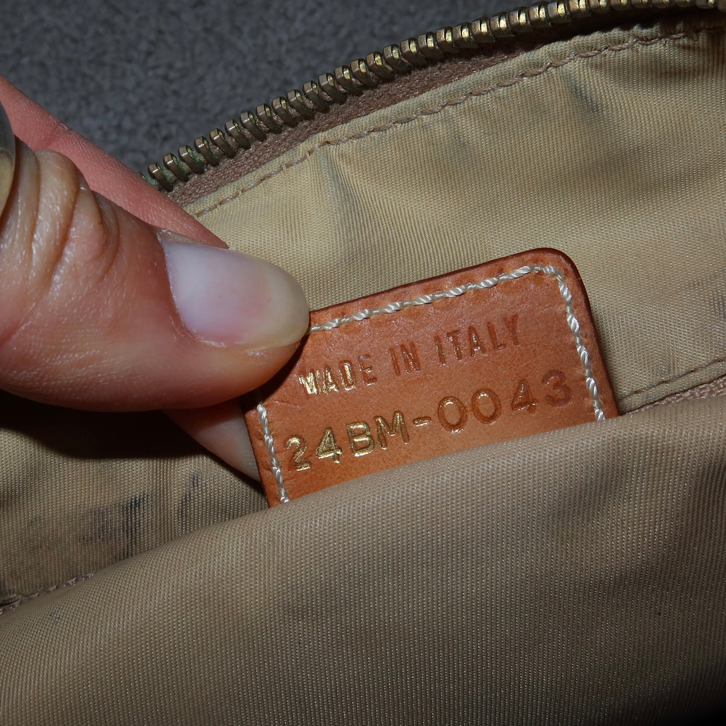 Dior Street Chic Trotter Crossbody