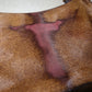 Prada Deer Hide and Faux Deer Horn Bag