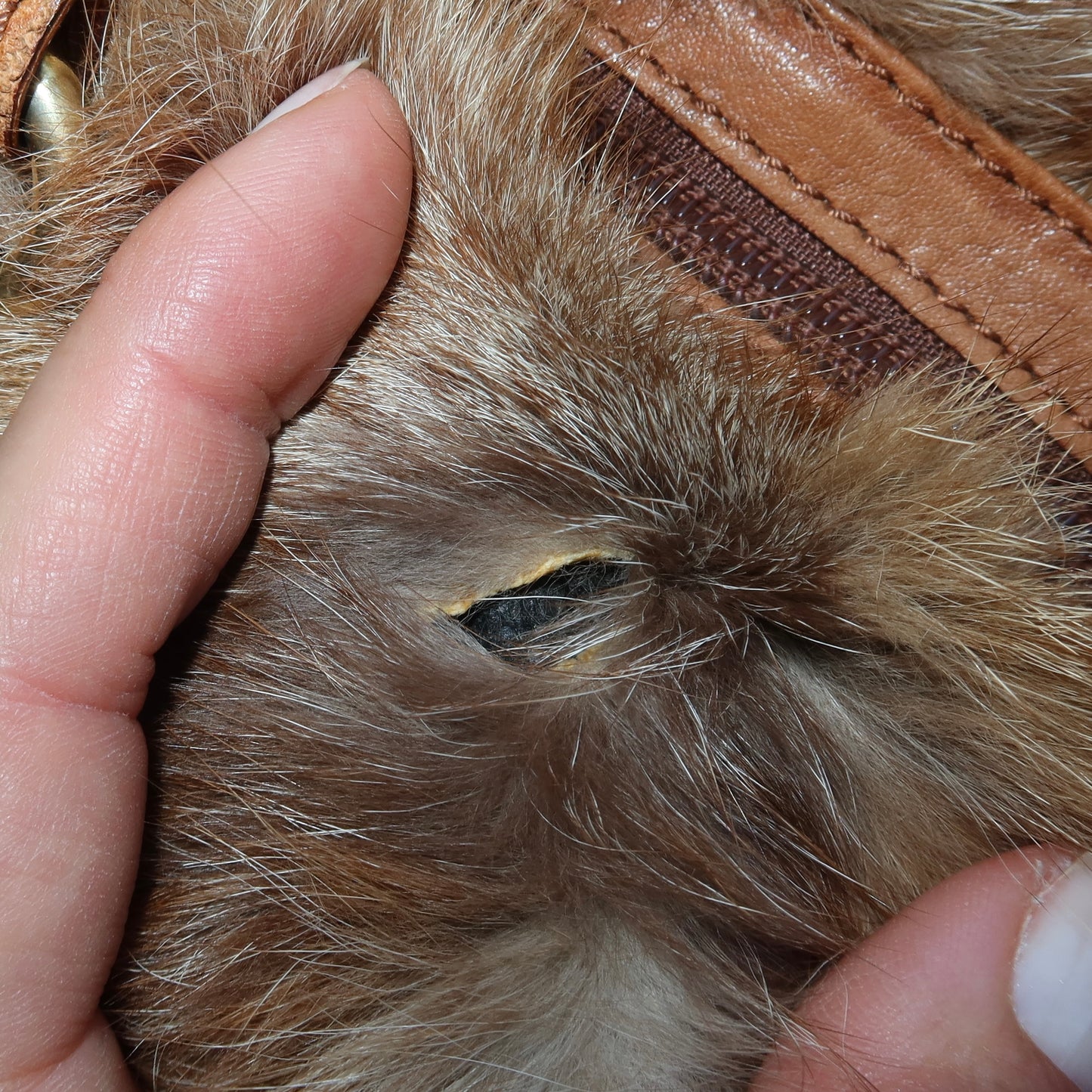 Paolo Masi Fox Fur Bag