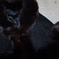 Vintage Astrakhan and Fox Fur Cape